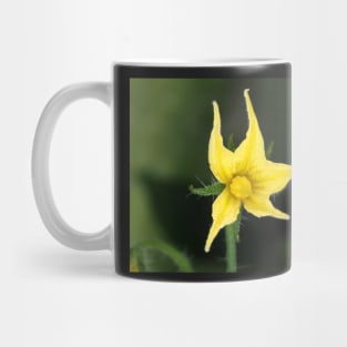 Tomato flower close-up Mug